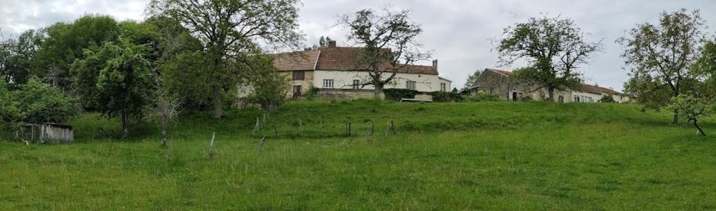 Chateau D'Impasse Laferté-sur-Amance Eksteriør billede